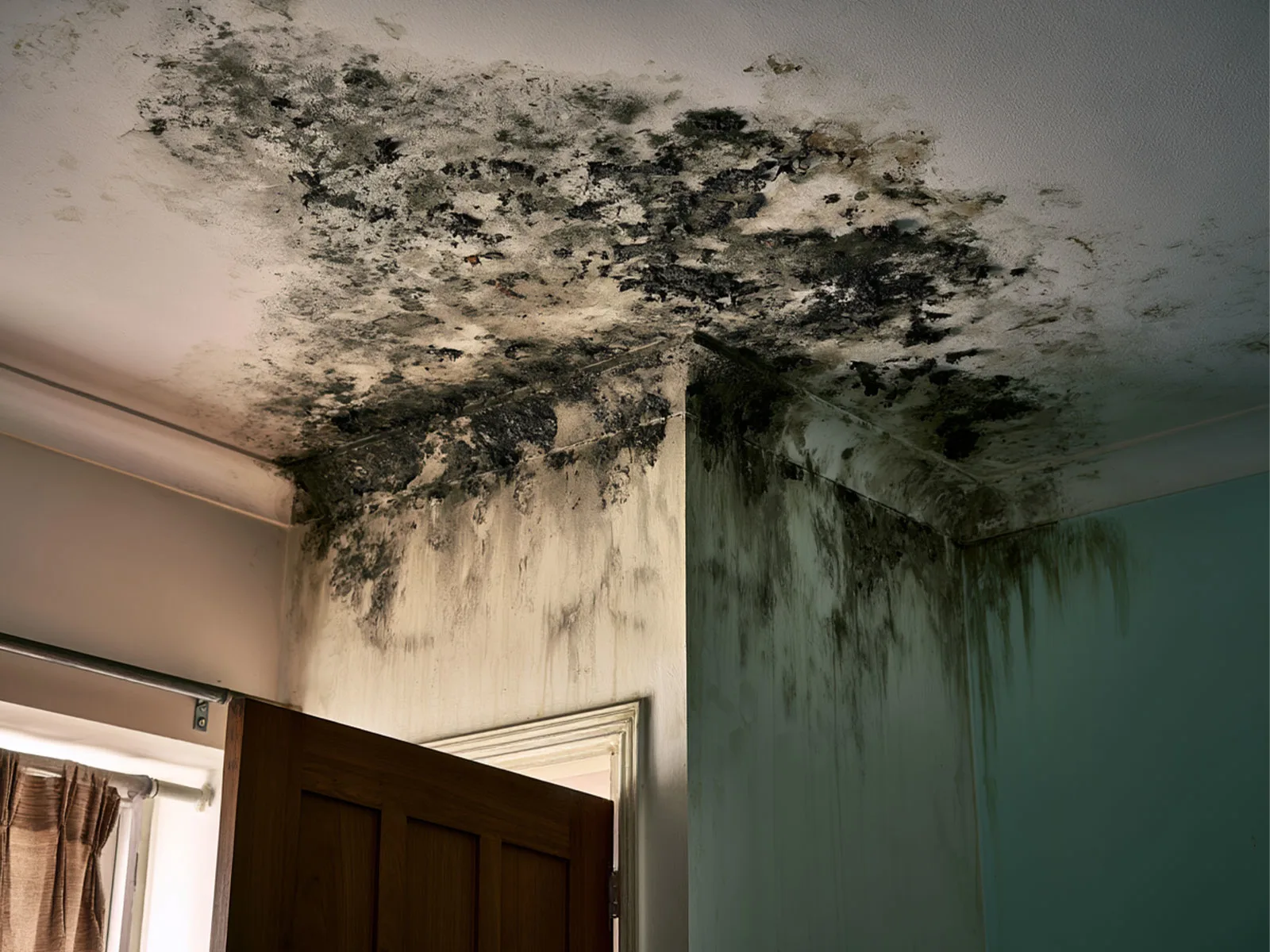 Water damage and mould on an interior ceiling corner